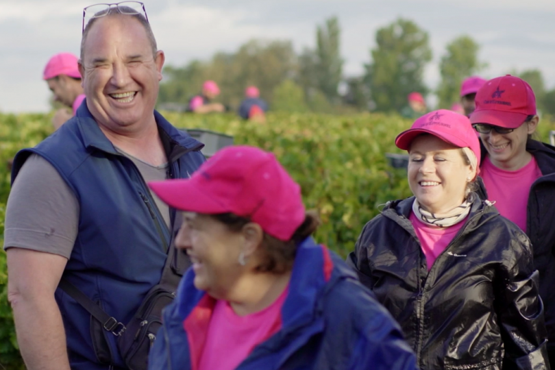 Vendanges 2019 (1)