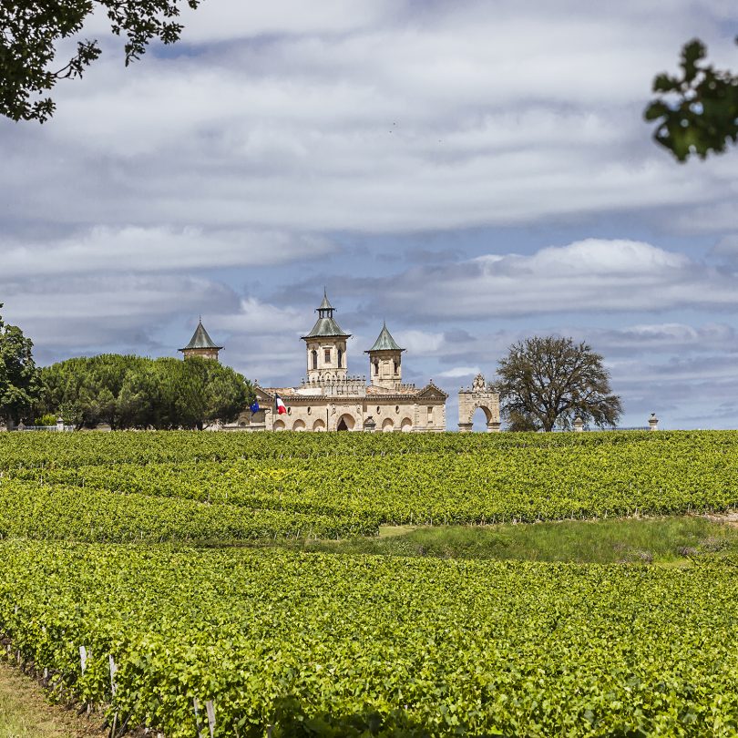 Cos d'Estournel - Vignobles (2)