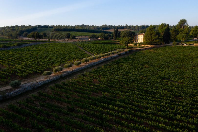 Château La Mascaronne - Bastide (5)