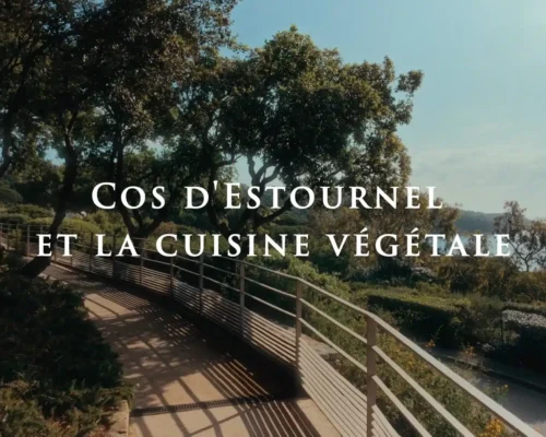 Cos-dEstournel-Cuisine-vegetale